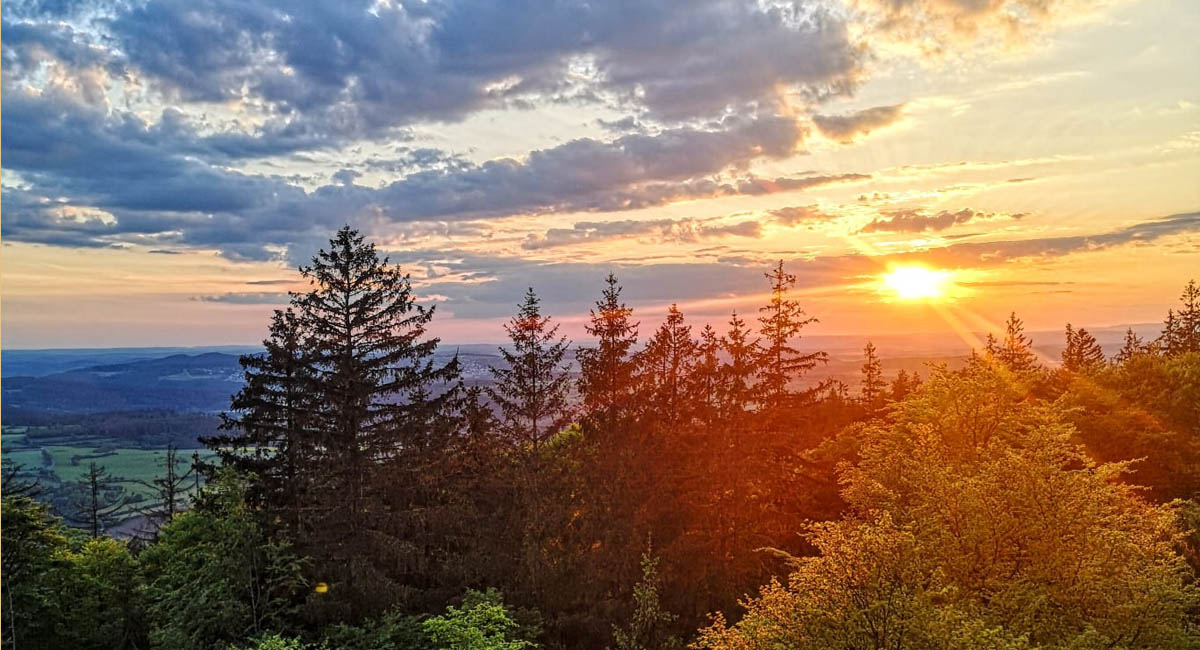 Martinihof Frankenwald – Biohof mit Ferienwohnungen