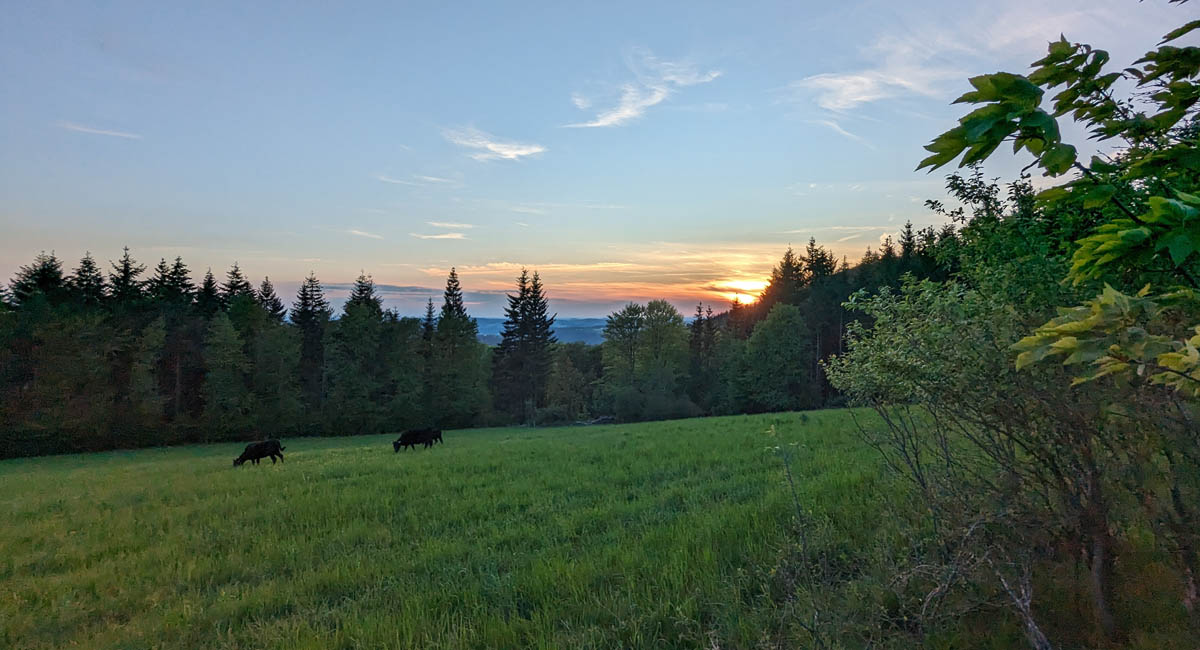 Martinihof Frankenwald – Biohof mit Ferienwohnungen